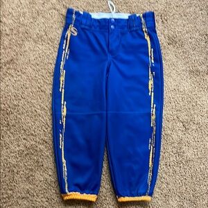 Blue and Gold Athletic Pants